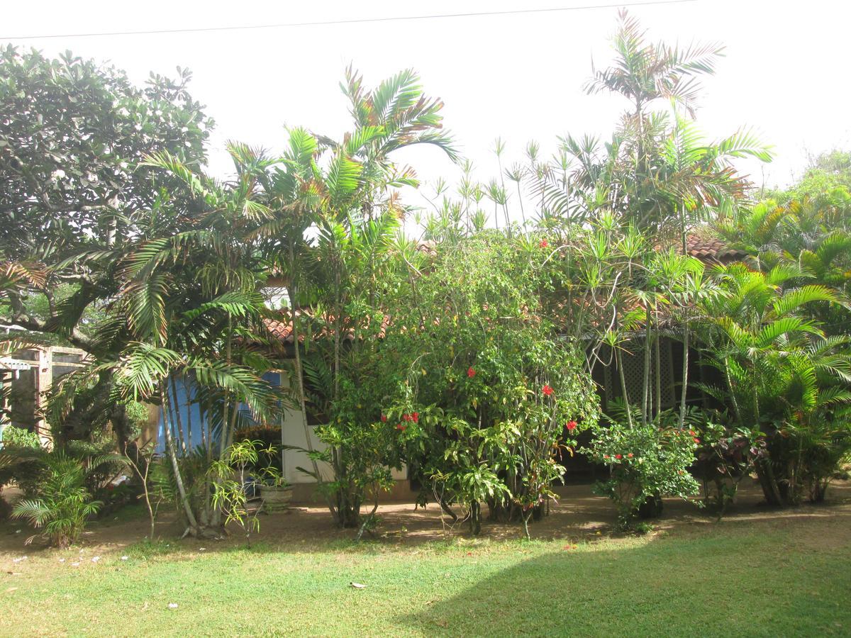 Cottage Garden Bungalows Moratuwa Eksteriør billede